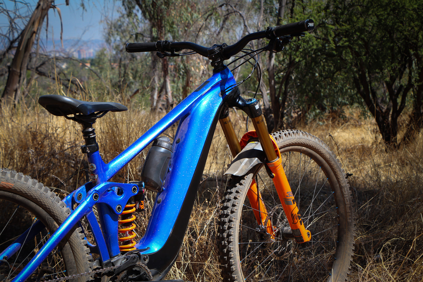 Giant Reign E Custom