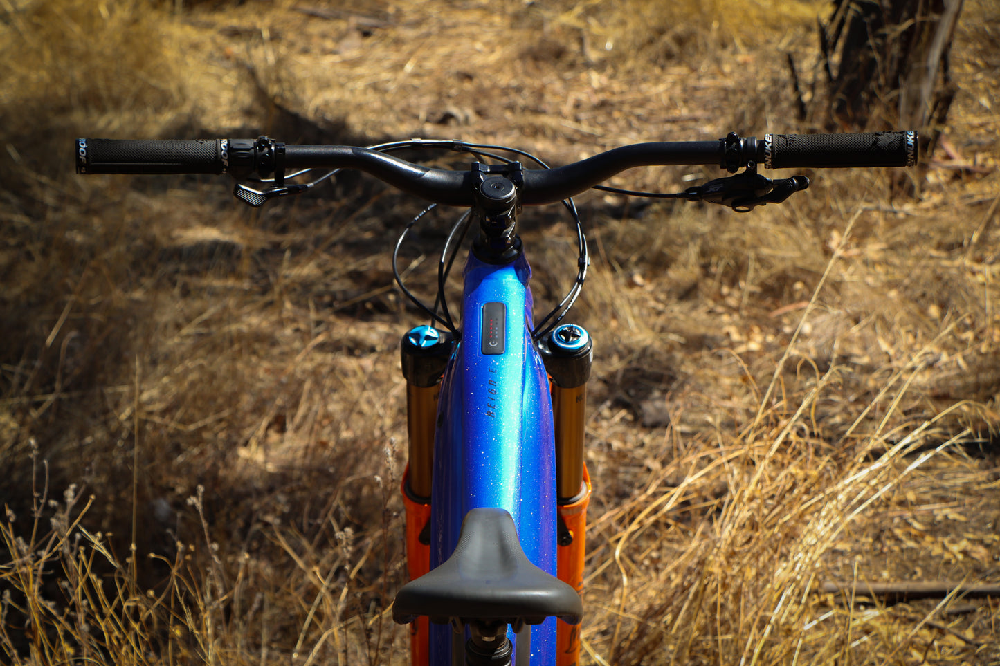 Giant Reign E Custom