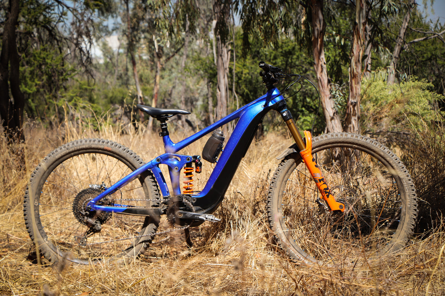 Giant Reign E Custom